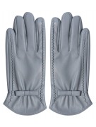 GV110 