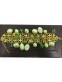 JW051-1-01 GREEN-GOLD