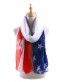 QH-252-1-01 AMERICAN FLAG